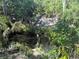 Wooded ravine featuring lush vegetation, adding natural beauty to the landscape at 7425 Riverbank Dr, New Port Richey, FL 34655