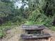 Overgrown ravine with a wooden picnic table and natural foliage at 7425 Riverbank Dr, New Port Richey, FL 34655
