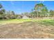Large backyard featuring a big patch of grass and metal building at 8523 Hamster Dr, Zephyrhills, FL 33540