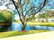 Scenic view of a tranquil pond surrounded by mature trees and lush green space at 9006 Callaway Dr, Trinity, FL 34655