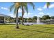 Expansive green backyard with palm trees overlooking a serene lake and fountain at 10467 Larchmont N Pl, Pinellas Park, FL 33782
