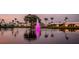 Night view features a community and fountain reflected in the lake's calm water at 10467 Larchmont N Pl, Pinellas Park, FL 33782