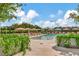 Beautiful swimming pool area with lounge chairs, umbrellas, and well-maintained landscaping at 2912 W Santiago St # 1504, Tampa, FL 33629