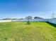 Spacious backyard with lush green grass, fenced perimeter and young tree at 35524 Quartz Lake Dr, Zephyrhills, FL 33541