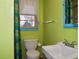 Vibrant bathroom featuring a sink, toilet, and green painted walls at 7043 Lang St, Brooksville, FL 34601