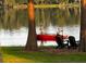 Picturesque view of boaters on the lake from the backyard at 1301 Jen Ma Jo Ln, Lutz, FL 33549