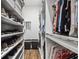 Spacious walk-in closet with shelving for shoes and storage bins at 1301 Jen Ma Jo Ln, Lutz, FL 33549