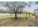 Large backyard with a full privacy fence and mature trees, offering lots of space at 21404 Darter Rd, Land O Lakes, FL 34638