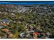 The aerial view of the community displays homes amidst trees with a picturesque water view at 2180 Clover Hill Rd, Palm Harbor, FL 34683