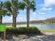 Scenic view of a tranquil pond framed by lush palm trees and verdant vegetation on a sunny day at 4016 Cadence Loop, Land O Lakes, FL 34638