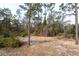 View of the backyard, offering a spacious outdoor area with natural landscaping at 6378 Colonel Ave, Webster, FL 33597