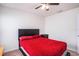 Bedroom with a large window, carpet floors, a ceiling fan, and furniture at 1014 Coastal Hammock Ave, Ruskin, FL 33570