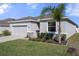 Well-kept home with a two-car garage, fresh landscaping, and a beautiful palm tree at 13359 Golden Lime Ave, Spring Hill, FL 34609