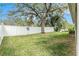 A spacious, lush backyard with a privacy fence and a mature shade tree, perfect for outdoor activities at 25325 Welsh Poppy Way, Land O Lakes, FL 34639