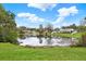 Beautiful lake view with lush greenery and blue skies creating a serene and inviting outdoor space at 3944 Sprucewood Pl, Land O Lakes, FL 34639