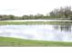 Scenic view of the pond with lily pads with a lush, green shoreline and trees in the background at 4036 Cortez Dr # A, Tampa, FL 33614