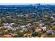High-angle view of a picturesque community with tree-lined streets, varied home designs, and cityscape enhancing the horizon at 4610 W Lamb Ave, Tampa, FL 33629