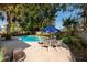 Backyard pool with table and chairs, shaded by tropical foliage and a Samuel Adams umbrella at 5611 Venetian Ne Blvd, St Petersburg, FL 33703