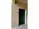 The front door of unit 101 with neutral stucco at 6011 Skydale Way # 101, Riverview, FL 33578
