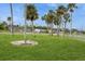 Expansive green lawn with mature palm trees, offering ample space and tropical charm at 112 Rose St, Venice, FL 34293