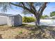 Backyard with a shed, tree, and pool at 1464 S Evergreen Ave, Clearwater, FL 33756