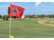 Picturesque view of the golf course showcasing lush green fairways, manicured lawns and open skies at 2170 Americus S Blvd # 6, Clearwater, FL 33763