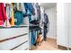 Walk-in closet featuring organized storage with hanging rods, shelves, and drawers to maximize space and efficiency at 2710 Chestnut Creek Pl, Brandon, FL 33510