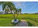 Beautiful backyard with a well-maintained lawn, palm trees, and serene landscaping at 8940 Park Blvd # 8940A, Seminole, FL 33777
