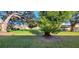 Expansive backyard showcasing a lush lawn and mature shade trees, providing an ideal setting for outdoor activities and relaxation at 11204 Pembridge Ct # 5, Port Richey, FL 34668