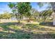 Expansive backyard with mature trees and a charming shed, offering plenty of space for outdoor activities at 1122 S Mulrennan Rd, Valrico, FL 33594