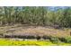 A treed backyard abuts a pond at 2824 Conch Hollow Dr, Brandon, FL 33511