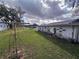 Spacious backyard featuring a large, well-maintained lawn and the side of the house at 38055 Avion Dr, Zephyrhills, FL 33542