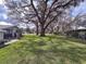 Expansive green lawn with mature trees, providing ample shade and a serene setting at 38055 Avion Dr, Zephyrhills, FL 33542