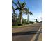 Attractive neighborhood street view with palm trees and landscaped dividers at 4570 Overlook Ne Dr # 282, St Petersburg, FL 33703
