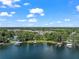 Beautiful aerial shot features lake houses with docks along the treelined shore at 5994 Shiner St, Land O Lakes, FL 34638