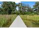 Long dock with a wooden walkway stretching across the lake, surrounded by tall grass at 5994 Shiner St, Land O Lakes, FL 34638