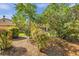 Landscaped backyard with trees, green grass, and a screened-in pool area, creating a serene outdoor living space at 1008 Royal Birkdale Dr, Tarpon Springs, FL 34688