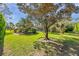 Expansive backyard with healthy green grass and mature shade trees at 1008 Royal Birkdale Dr, Tarpon Springs, FL 34688