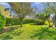 Lush backyard with green grass, mature tree, and well-maintained privacy hedges at 1008 Royal Birkdale Dr, Tarpon Springs, FL 34688