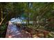 Picturesque wooden boardwalk surrounded by lush trees, leading to a scenic marina at 1324 Pasadena S Ave # 204, South Pasadena, FL 33707