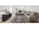 Comfortable living room features plush seating, a decorative rug, and a large TV for entertainment at 219 Villa Luna Ln, Lutz, FL 33549
