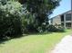 Well-maintained backyard featuring lush greenery and a partial view of the condo building at 233 Woodlake Wynde, Oldsmar, FL 34677