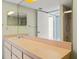 Bathroom featuring vanity, mirror and walk-in shower at 3857 Sailmaker Ln, Holiday, FL 34691