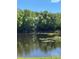 Beautiful lake view, with house surrounded by mature trees in the background, providing a private and tranquil setting at 5231 Bayshore Blvd # 10, Tampa, FL 33611
