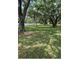 Expansive grassy backyard with mature trees and a white fence offering plenty of space for recreation and relaxation at 5231 Bayshore Blvd # 10, Tampa, FL 33611