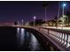 Nighttime view of a waterfront walkway with palm trees and decorative lighting reflecting on the water at 5231 Bayshore Blvd # 10, Tampa, FL 33611