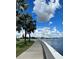 Scenic waterfront view with a curved walkway, palm trees, and the city skyline in the background creating a peaceful ambiance at 5231 Bayshore Blvd # 10, Tampa, FL 33611