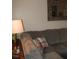 Inviting living room with plush grey sofa accented by decorative pillows and a mirror at 9911 Dahlia N St # 38, Pinellas Park, FL 33782