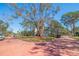 Traditional home with a large front yard and mature landscaping at 1130 Serpentine S Dr, St Petersburg, FL 33705