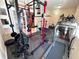 Home gym with a range of exercise equipment, including weights and machines at 13856 Crest Lake Dr, Hudson, FL 34669